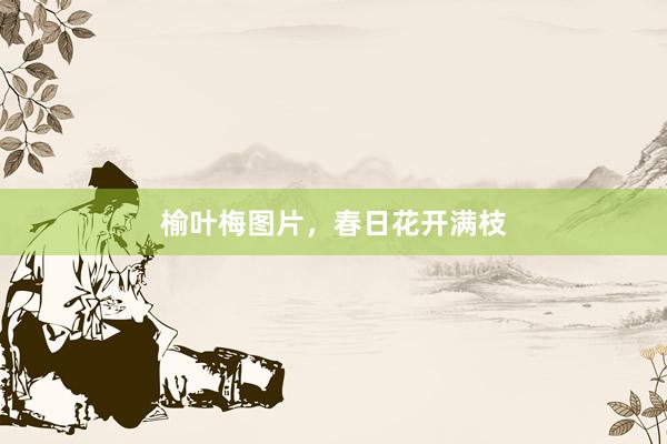 榆叶梅图片,春日花开满枝