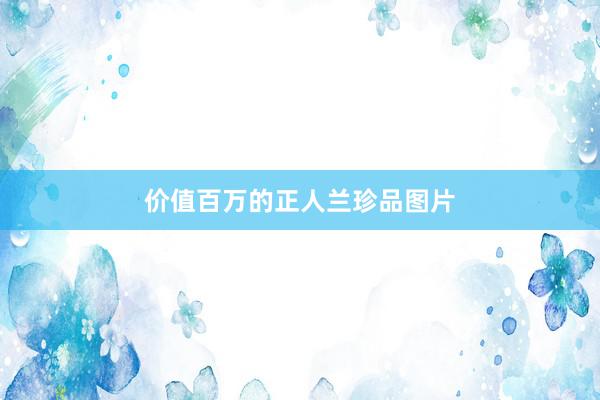 价值百万的正人兰珍品图片